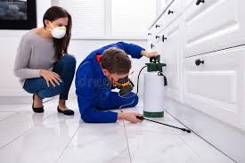 Best Bed Bug Extermination  in Lakeside, OR